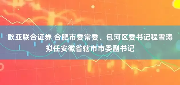 欧亚联合证券 合肥市委常委、包河区委书记程雪涛拟任安徽省辖市市委副书记