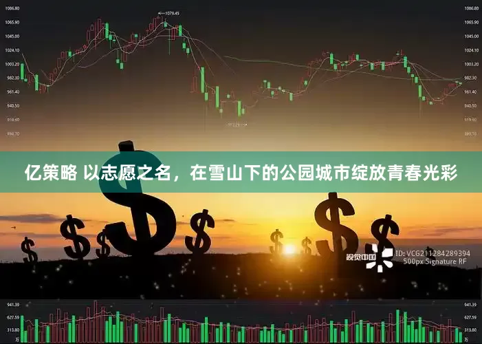 亿策略 以志愿之名，在雪山下的公园城市绽放青春光彩